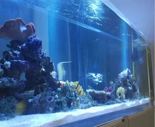 Acrylic for Aquarium (5)