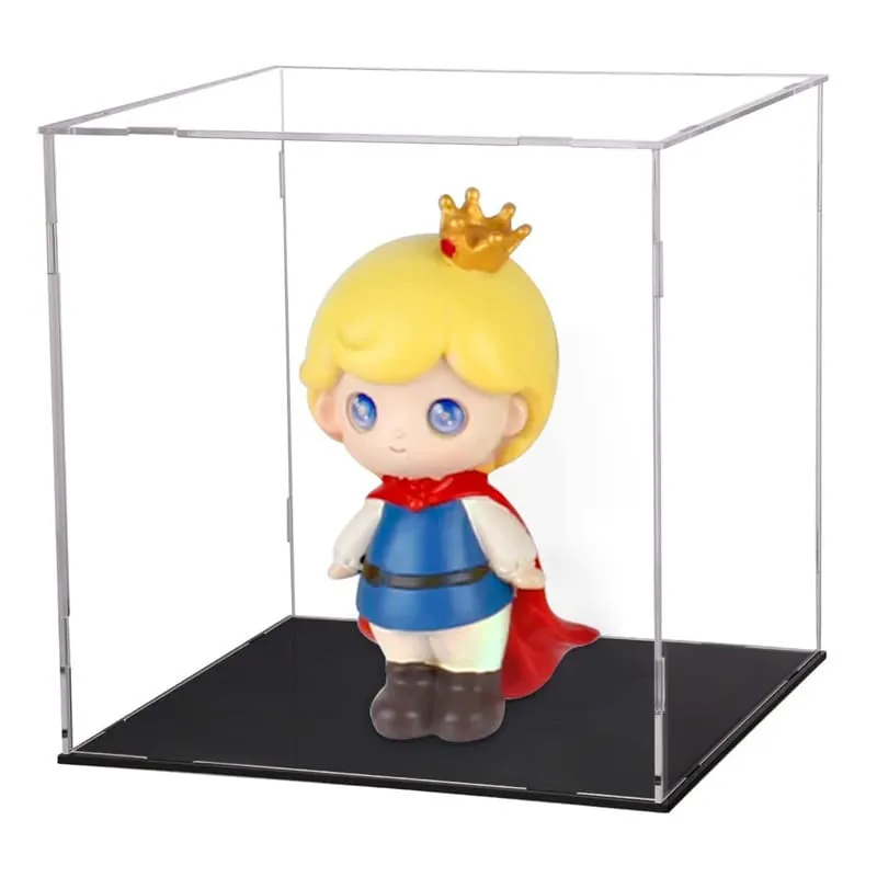 large acrylic display case (1)