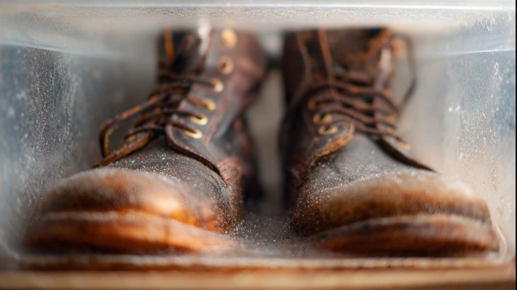 Store Shoes in Plastic Boxes (2)