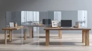Sneeze Guards (6)